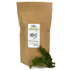 Ulva (Sea Lettuce or "Gutweed") Whole Leaf