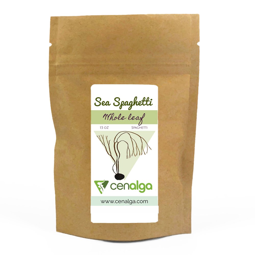 Sea Spaghetti (Himanthalia elongata) - Whole Leaf